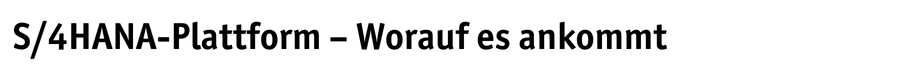 S4HANA – DZT